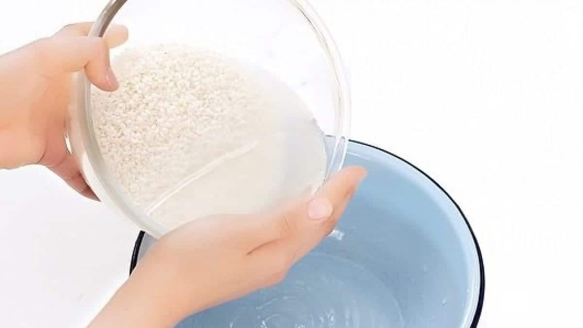 Cách làm kem dưỡng da tự nhiên từ nước vo gạo