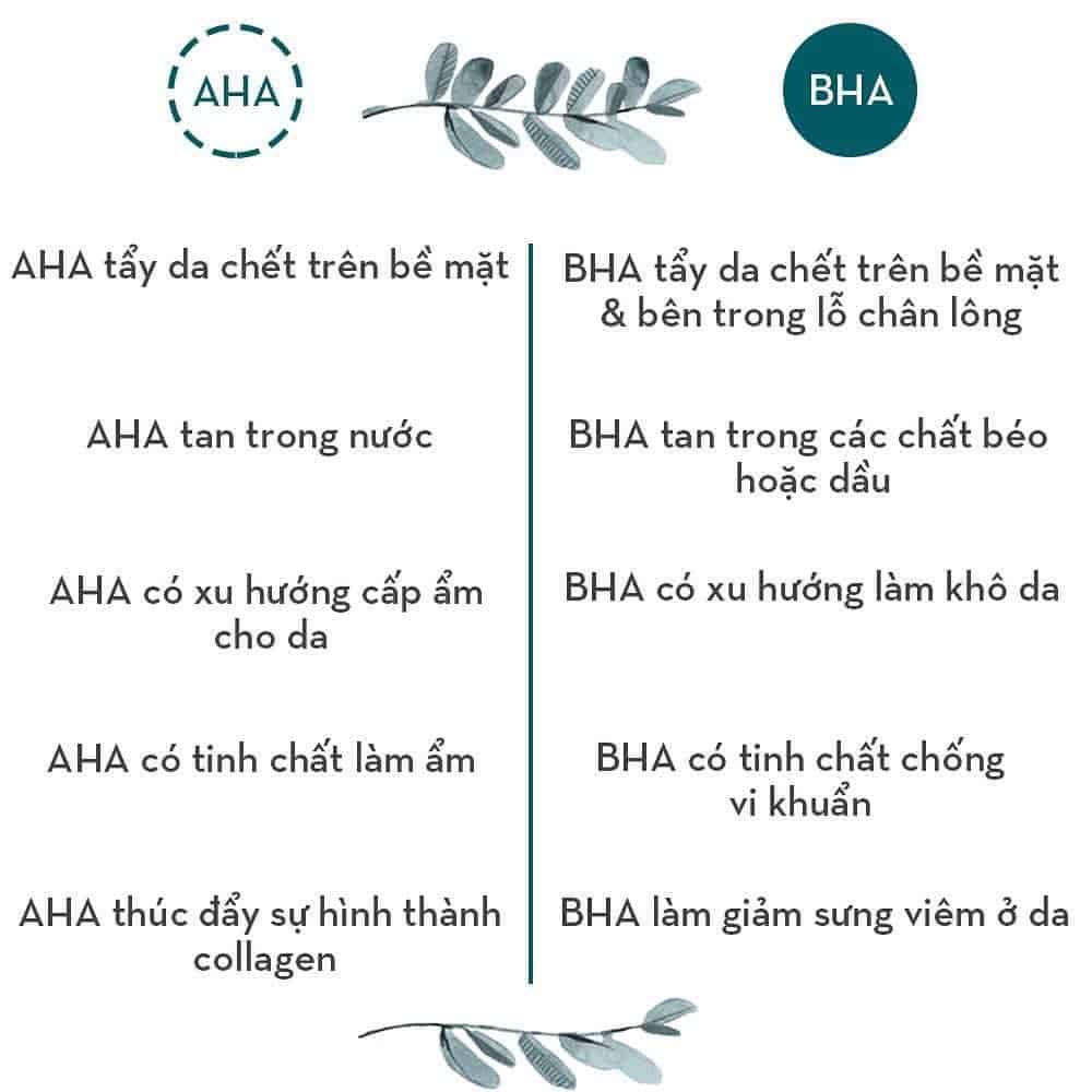 So sánh tác động của AHA & BHA trên làn da